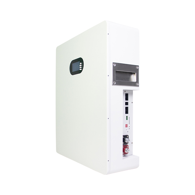 Wall-Mounted10 kWh Home Battery Pack (2)